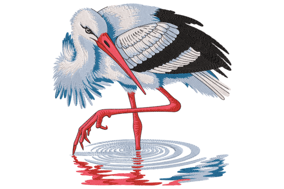 Elegant Stork in Water